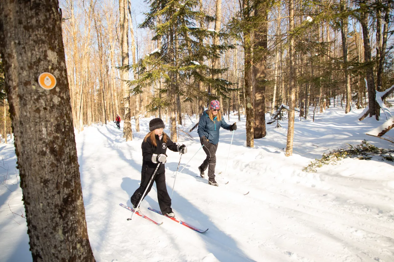 Skiers on a trail in the woods at James C. Frenette Sr. recreational trails