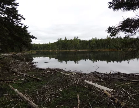 A trail circles the lake for brook trout fishing from the shore.