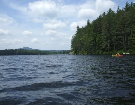 A kayaker on the water in front of a tree-filled shoreline