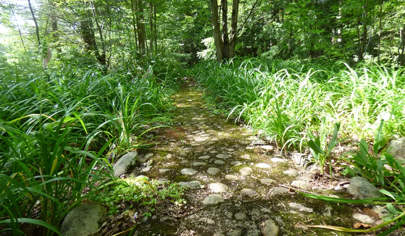 Stone walkway below Low's Upper Dam