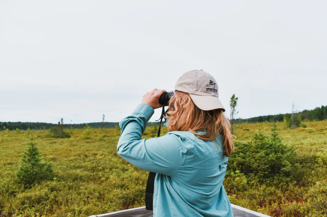 A woman birding with binoculars over a marsh.