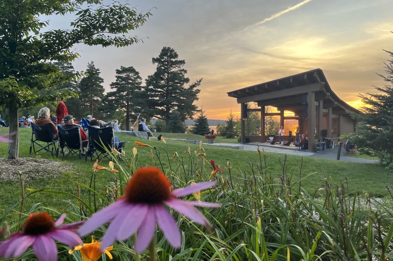 A purple coneflower peeks into the camera frame in front of a park lawn, open-air bandshell, and colorful sunset.