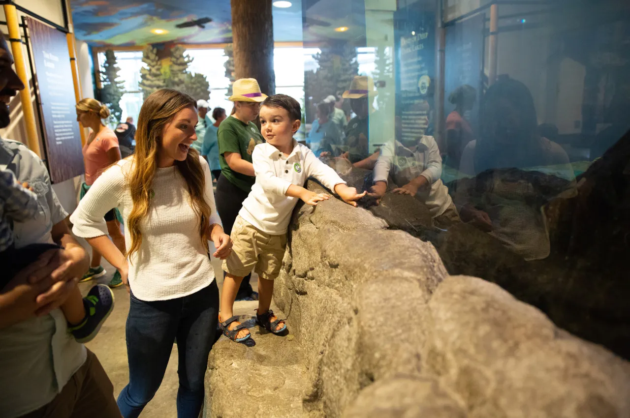 A little boy points into a large aquarium tank at a museum while his mother watches.