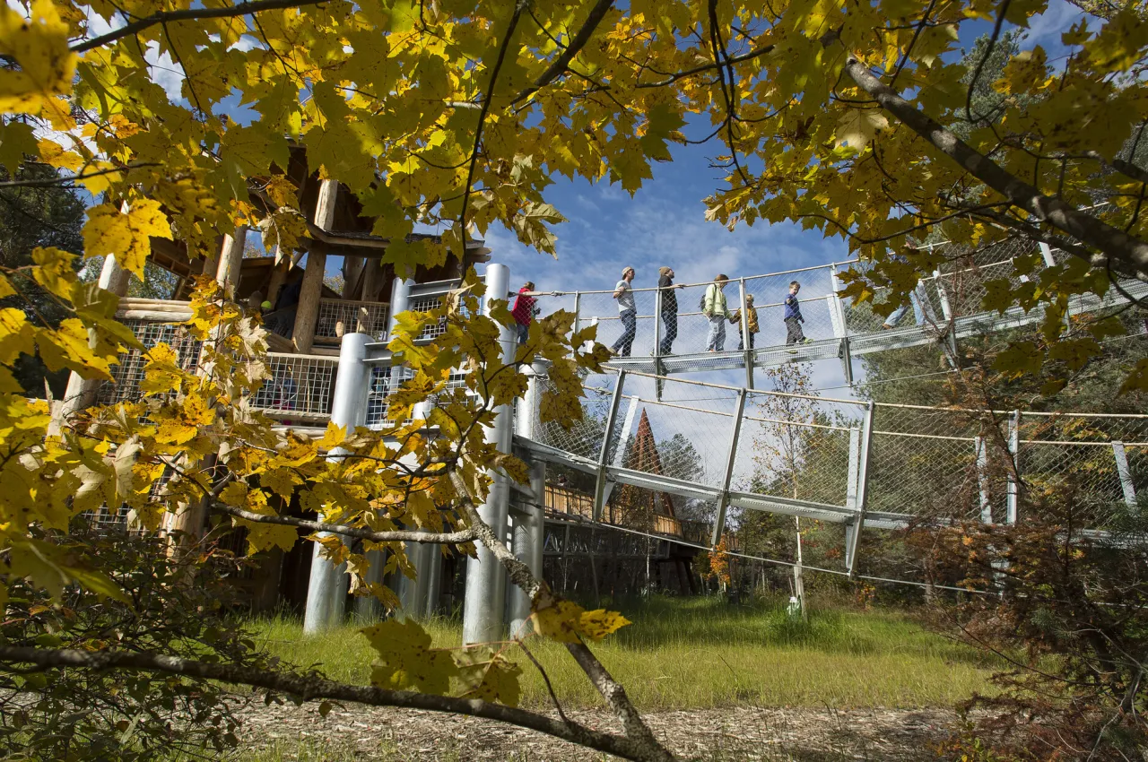 People walking and exploring the wild center in the fall with fall leaves in the focus of the photo.