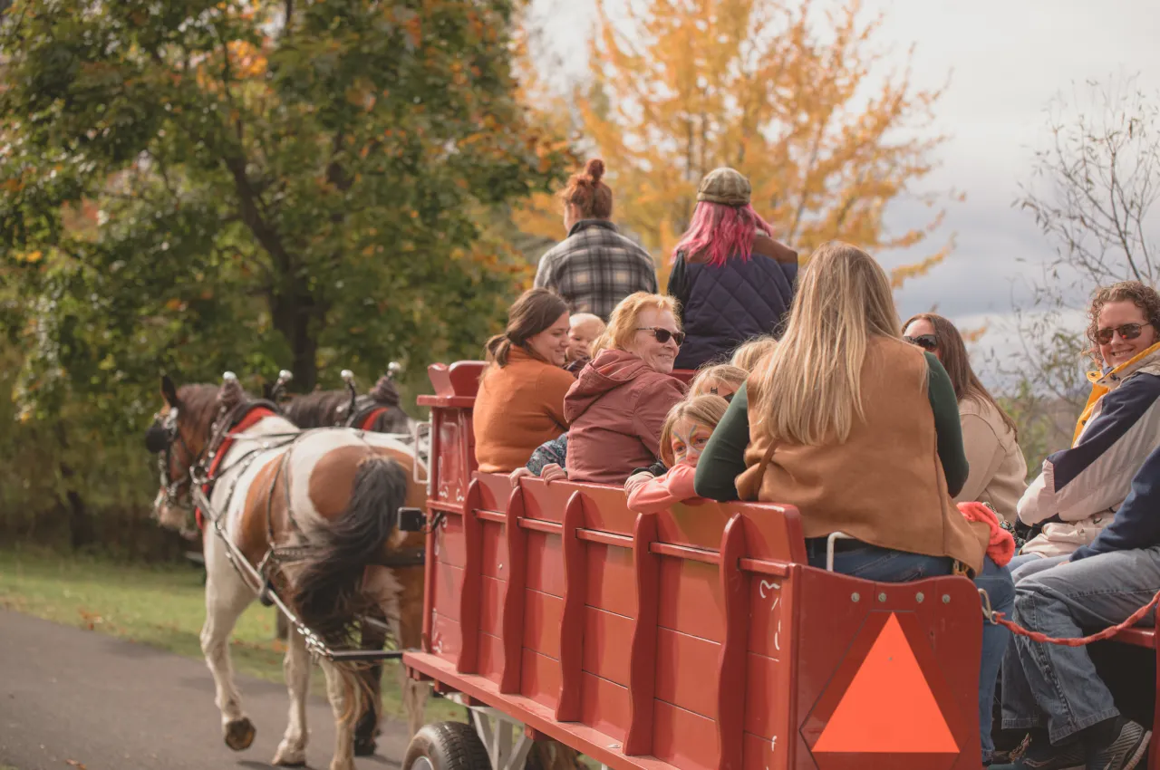 A horse pulls a wagon of people at OkTUPPERfest last year.