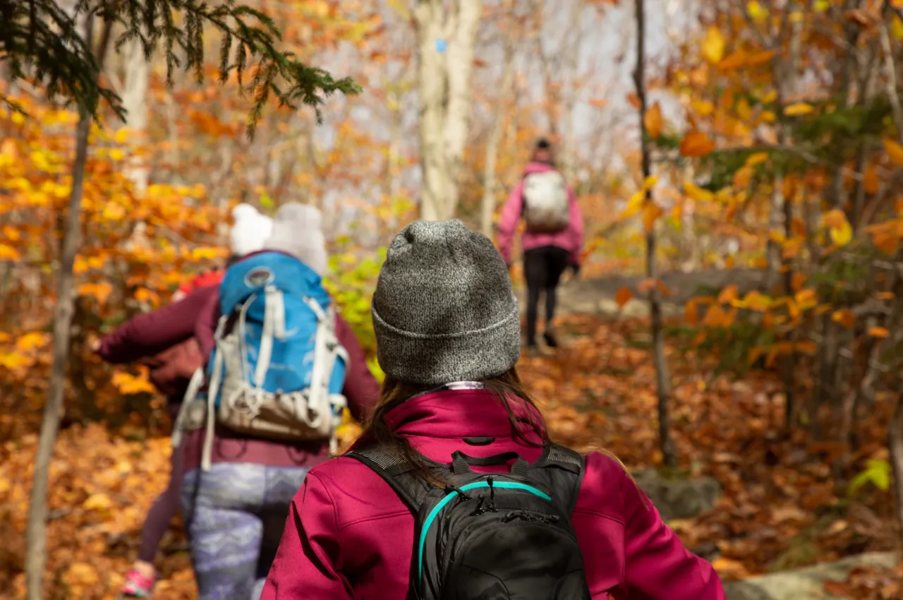 3 hikers walk up a trail lined with fall foliage.