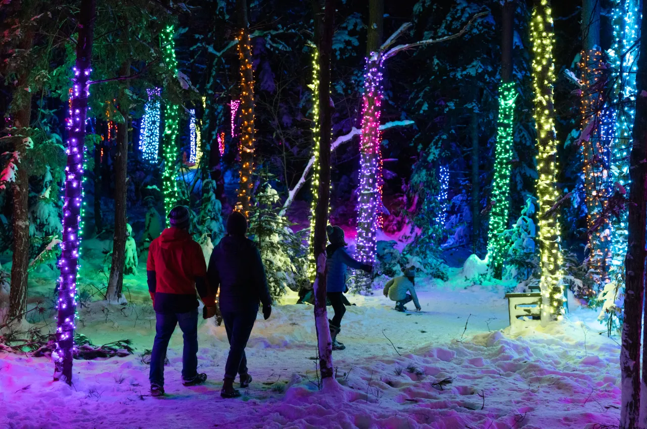 A family walking through iForest at Wild Lights