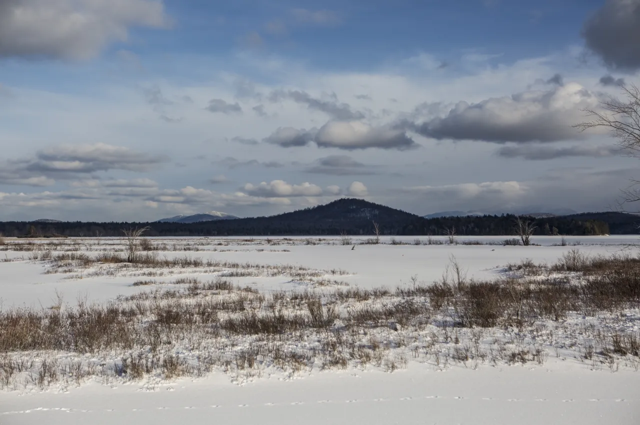 A scenic shot of a lake with a mountain in the background.