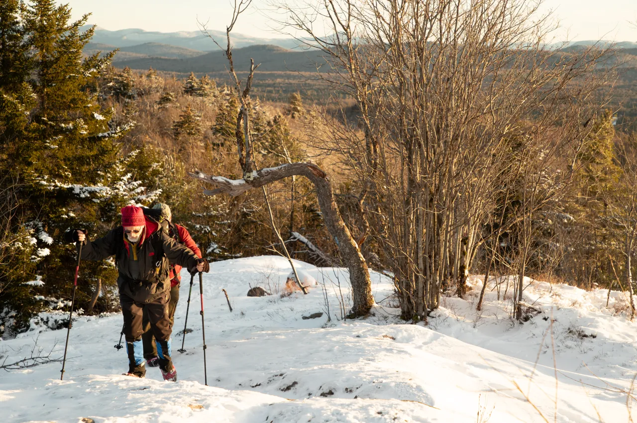 2 snowshoe hikers approach a frosty summit.