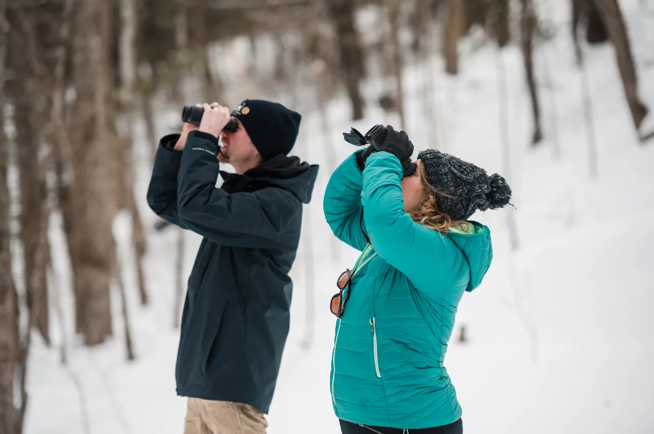 2 people in the snowy woods look through binoculars up into a tree.