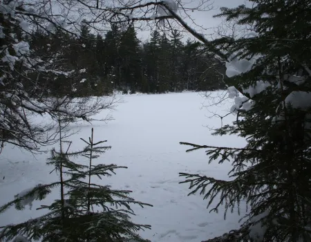 A view of a pond along the Otter Hollow trail loop.