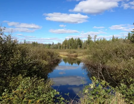 The unique beauty of Massawepie via land or water.