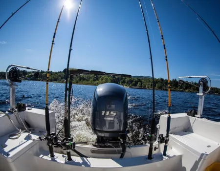 The fish grow to trophy-size proportions in Big Tupper Lake.