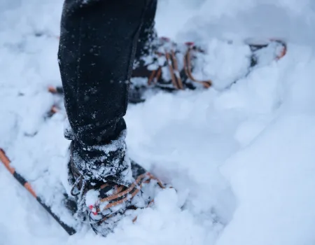 Snowshoes in the snow