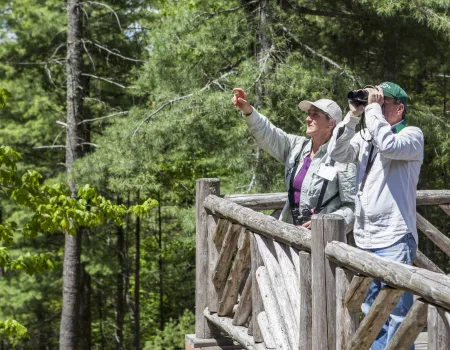 A couple birders look through binoculars and point