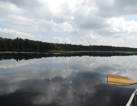 Paddling on a calm pond