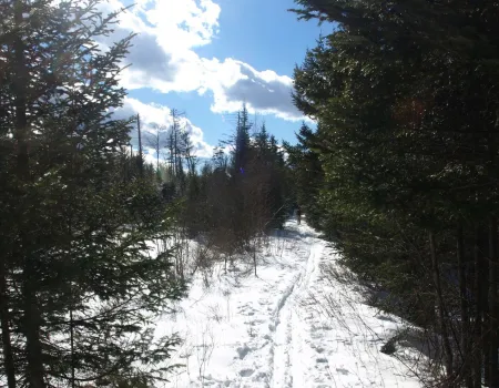 A trail topped with snow