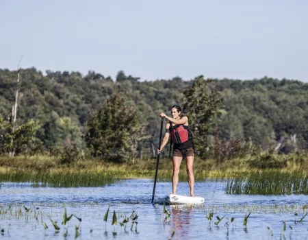 The many wetlands on this paddle are easily explored with the right watercraft.