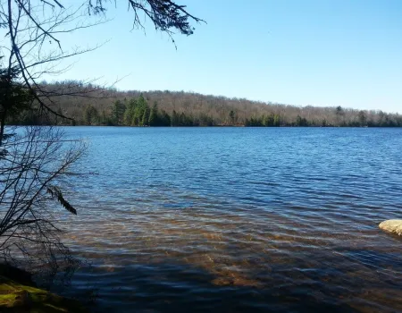 A lakeside view