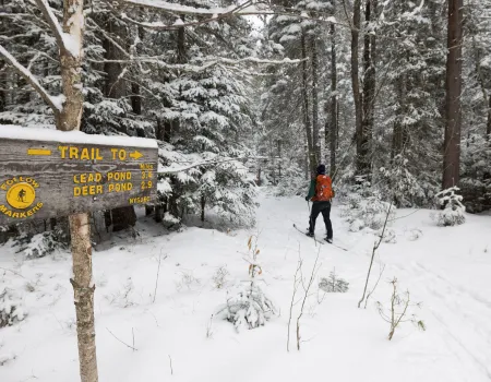 A skier at a junction