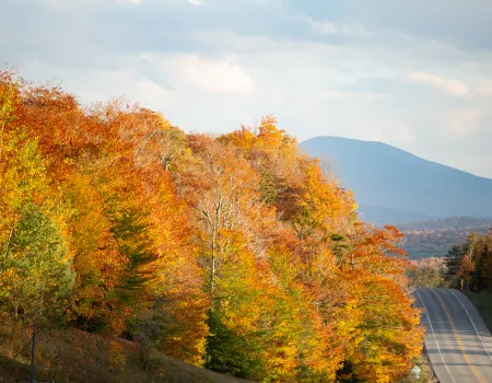 This wilderness area is a great place to view fall foliage.