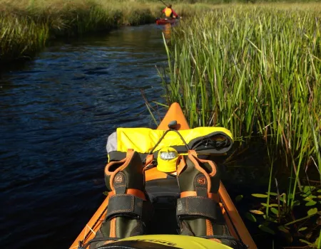 Kayakers in a grassy river