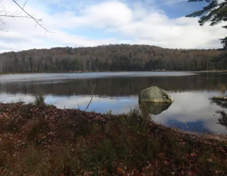 A reflecting pond with a large rock in it