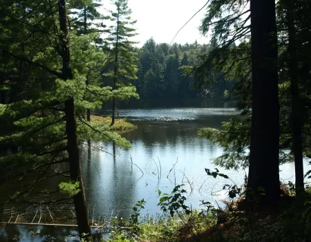 Horseshoe Pond is a calm flatwater paddle.     