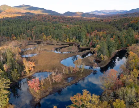 Aerial view of a winding river