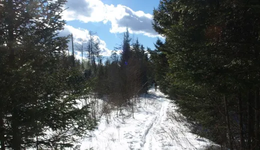 A trail topped with snow