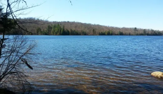 A lakeside view