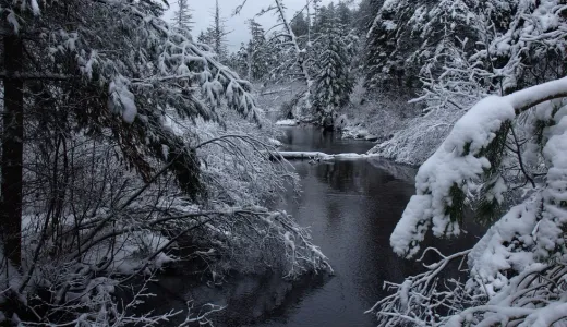 The Sheep Meadow trail has lovely scenery&#44; like this section of the Osgood River.