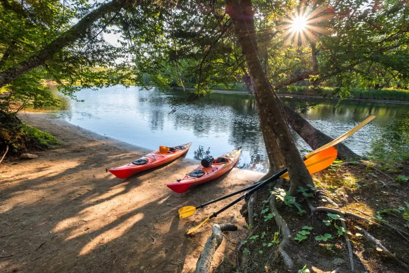 A sandy shoreline filled with brightly-colored kayaks