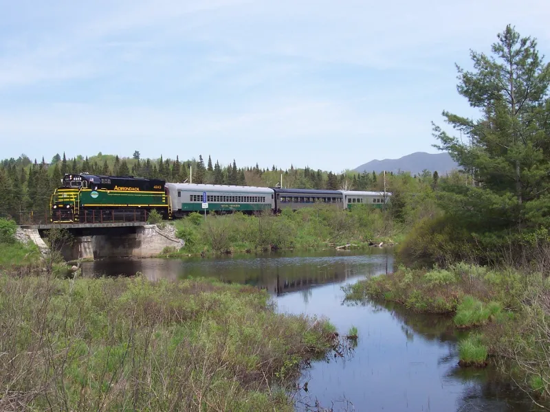 A train speeding through the trees