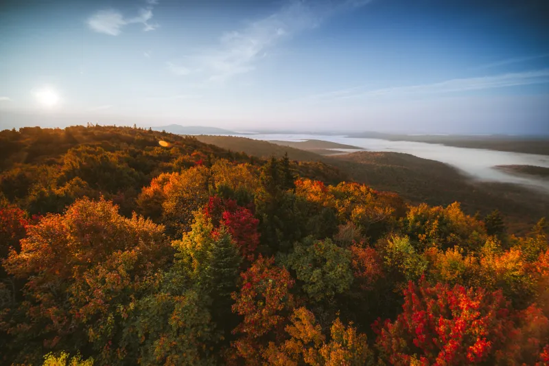 An aerial view of fall-colored leaves and mountains