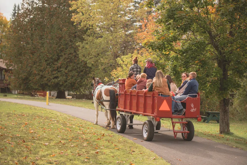 People on a horse-pulled hay ride