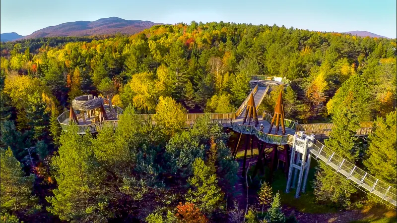 Aerial view of an elevated walkway through trees in the fall