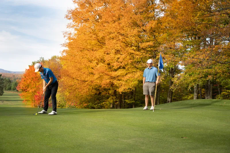 Two men play golf among foliage.