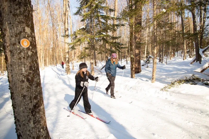 A woman and a teenage girl cross-country ski on a trail through a snowy forest on a sunny day.