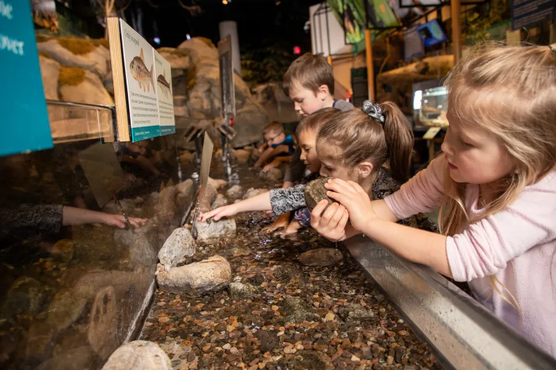 Kids playing at The Wild Center in Tupper Lake, NY