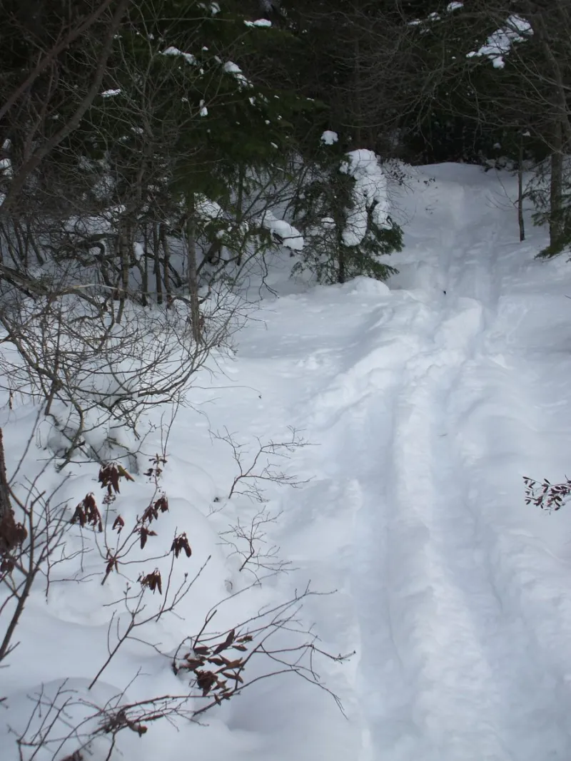 Making Tracks