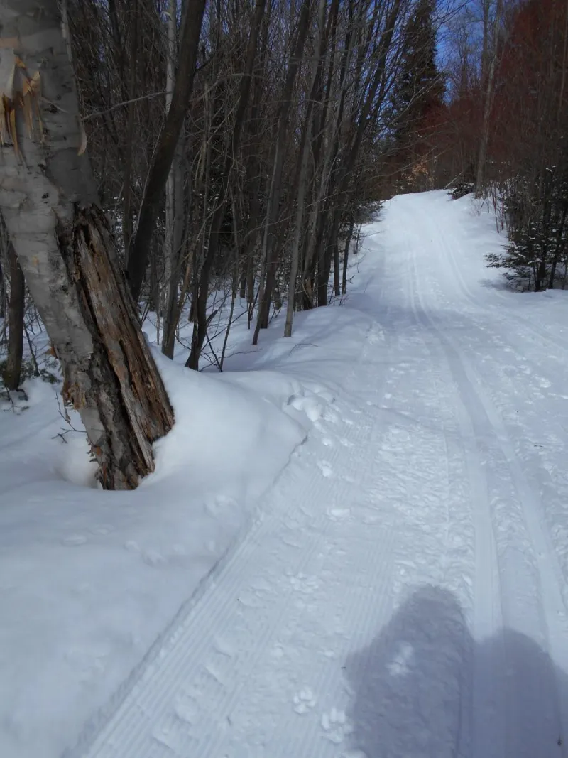 Who doesn't love a quiet trail through the woods?