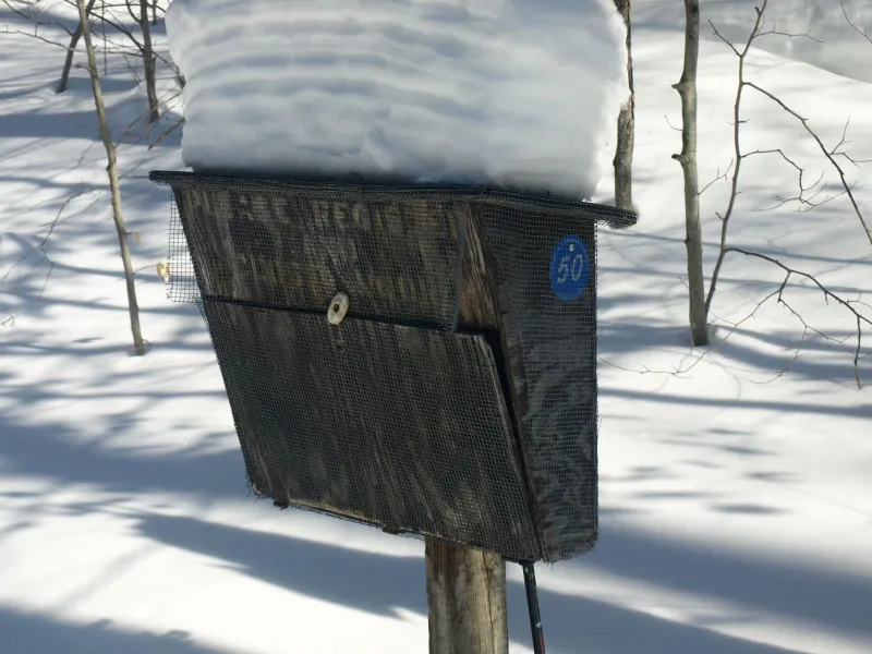 The DEC covers the trail registers with chicken wire to prevent porcupines from eating them.