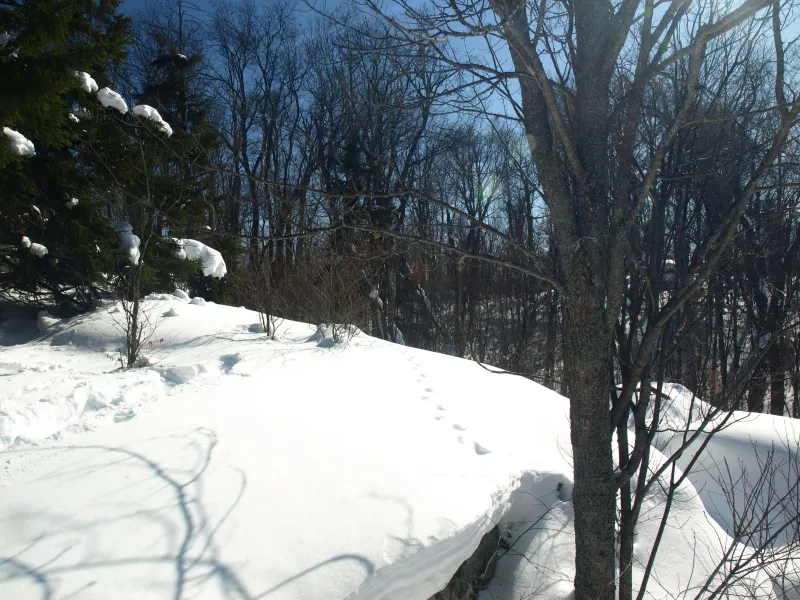 The summit area atop the boulders