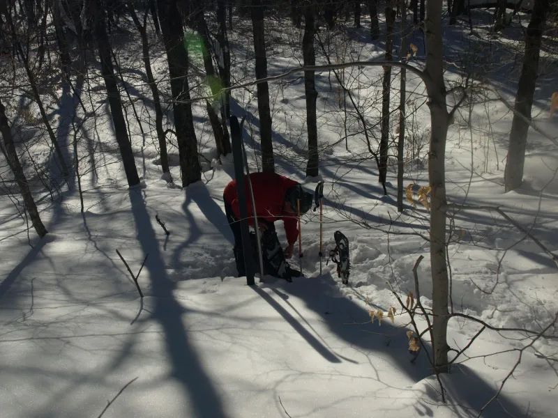 Changing from Skis to Snowshoes