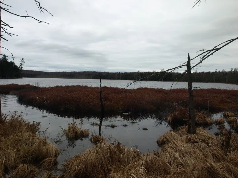 Burntbridge Pond