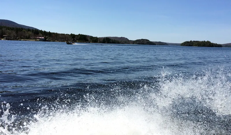 Taking the fish up the lake