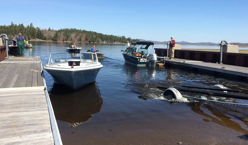 Boats gather at the boat launch to help transport the fish out to the lake's deep waters