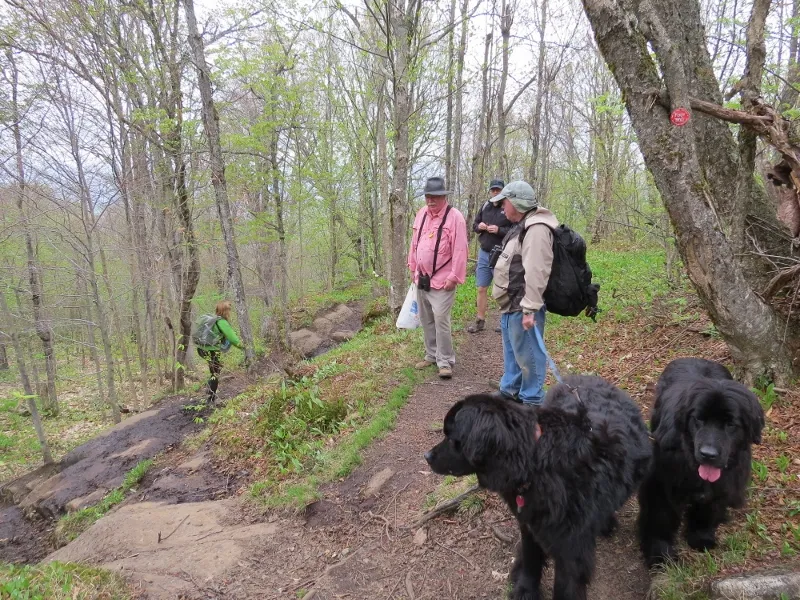 Switchback around a steep section of Mount Arab's trail