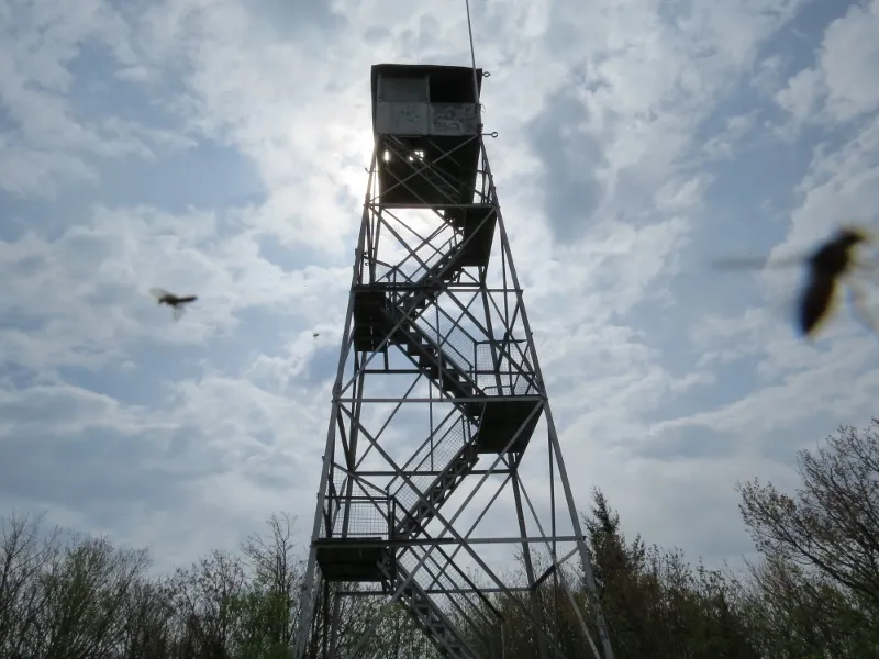 Mount Arab fire tower